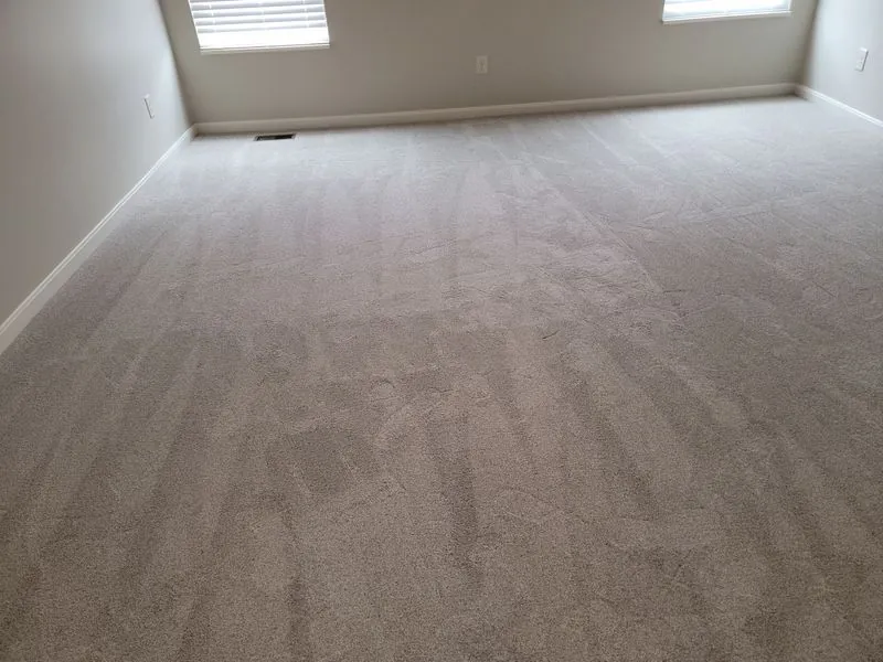Freshly installed beige carpet in an empty room with two windows