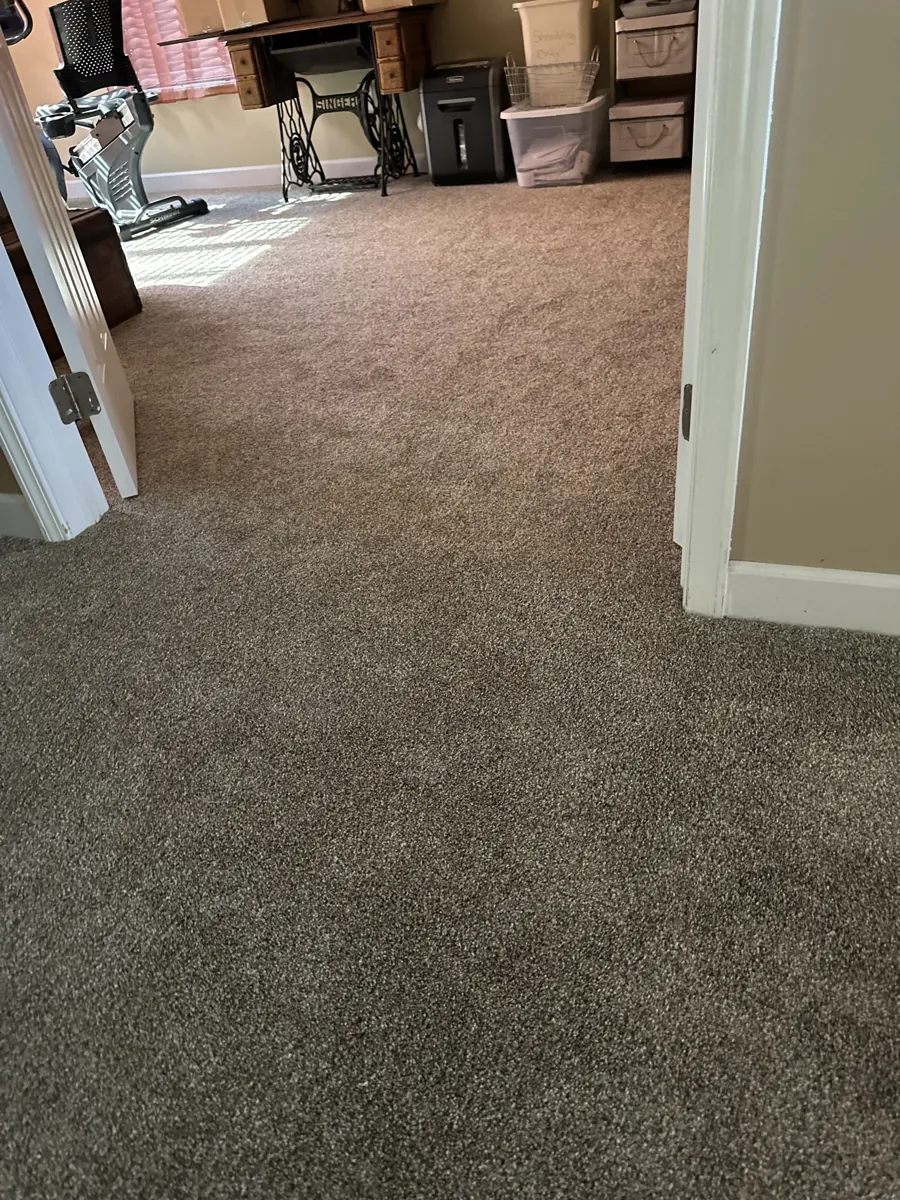 Carpeted hallway leading into a finished living space