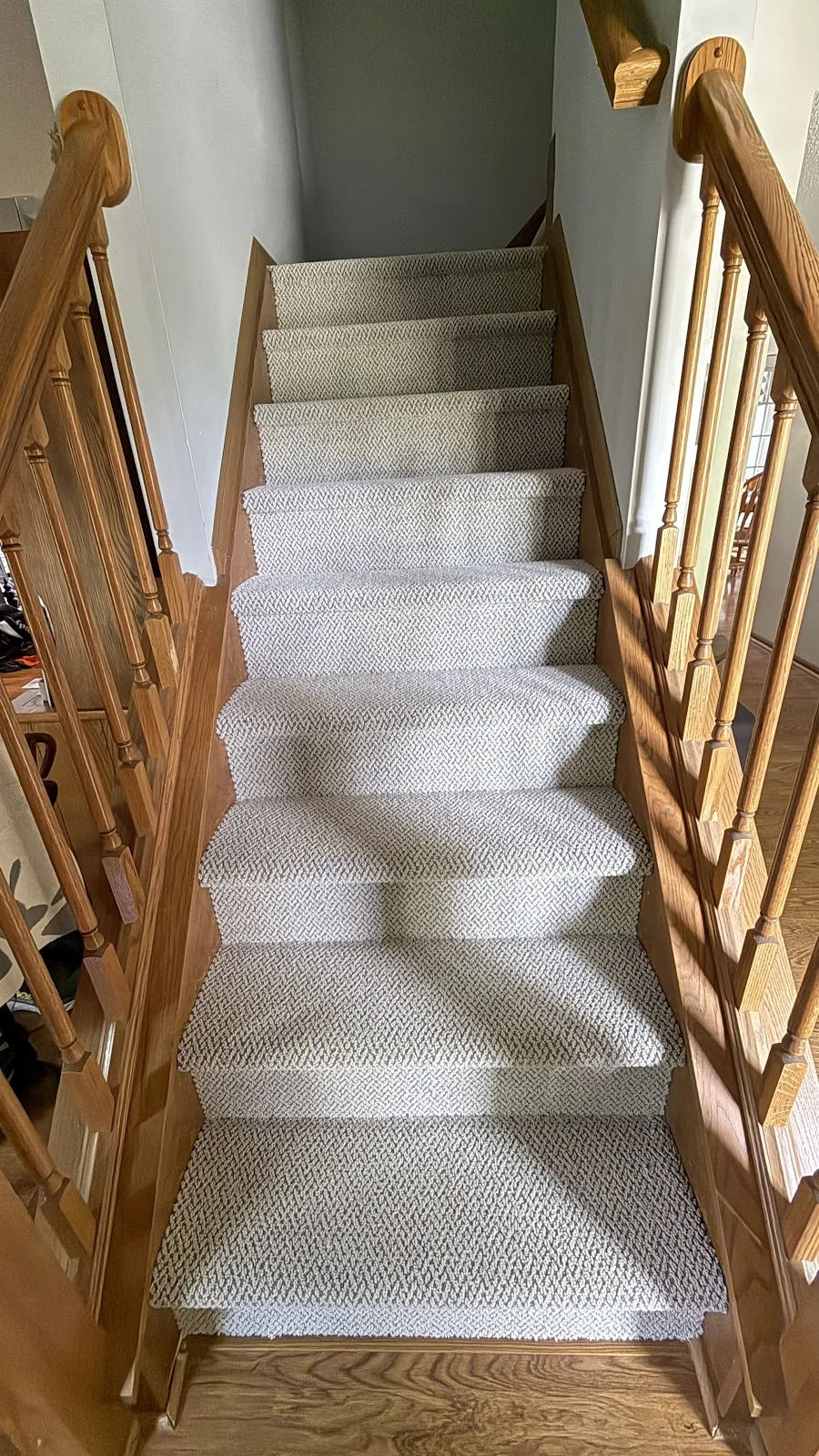 Choosing Carpet for Pets and Kids: A Central Ohio Buyer's Guide